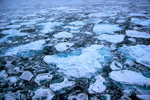 Фото: Wikimedia Commons На фото: Иллюстрация