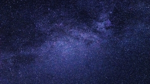 Фото: Pexels На фото: Иллюстрация