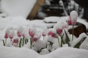 фото: flickr.com; на фото: Метеорологи прежупреждают о резких изменениях климата