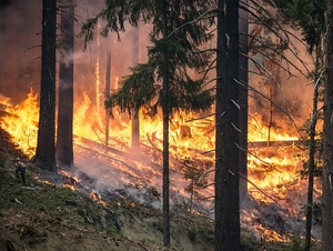 Фото: pixabay.com На фото: Онтарио помогают федеральное правительство, Первые нации и США